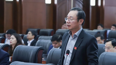 Prioritera marktilldelning för grönområden och parker i Da Nangs stadsplanering.