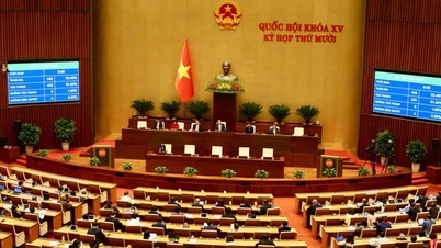 国会における科学技術部の目立つ立法標語。