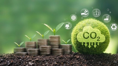 Research on carbon dynamics due to land-use change in the Northeast region of Vietnam.