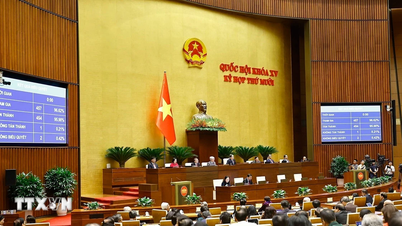 การประชุมสภาแห่งชาติสมัยที่ 10: เหตุการณ์สำคัญยิ่งของสภาแห่งชาติชุดที่ 15