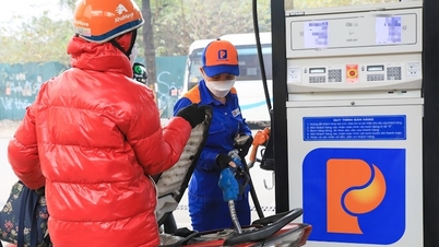 Bränslepriserna har sjunkit över hela linjen, med vissa bensinprodukter som fallit under 20 000 VND/liter.