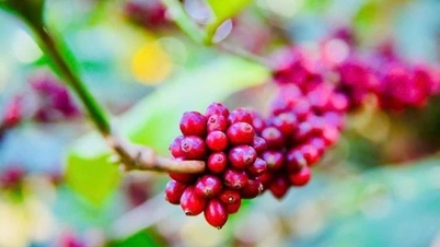 Innovations pour l'adaptation au changement climatique dans l'industrie...