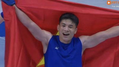 Why wasn't Vietnam's historic gold medal counted in the overall medal standings?