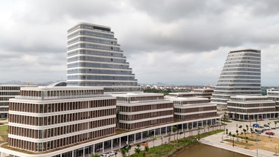 Transform Hai Phong into a major FDI hub with the first free trade zone in Northern Vietnam.