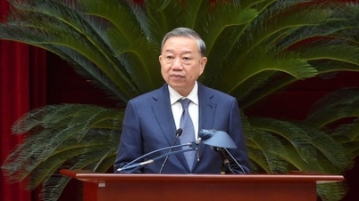 Prioritize national interests in the fight against corruption.