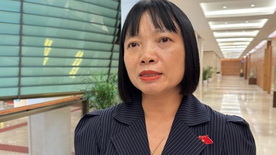 قطعنامه جدید، پیشرفتی در تضمین امنیت انرژی ایجاد می‌کند.