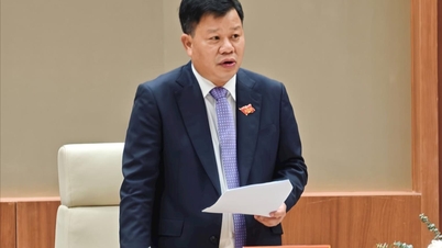 자유무역지대는 하이퐁의 새로운 성장 동력이 될 것입니다.