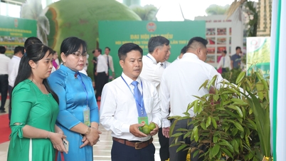 The colorful exhibition space showcases typical agricultural activities and products.