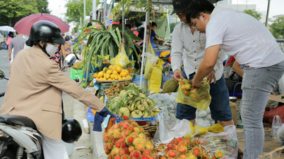 چه چیزی اولین بازار منطقه‌ای محصولات کشاورزی در بین دونگ را تا این حد جذاب می‌کند؟
