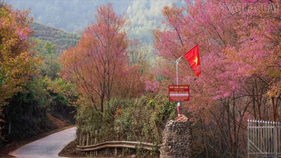 La commune de Mu Cang Chai se prépare à organiser le festival de la flûte Mong, le festival des fleurs de To Day et les célébrations du Nouvel An.