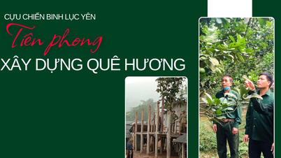 Luc Yen Vétérans : Pionniers dans la construction de leur patrie