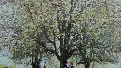 Nam Nghiep - uma nova atração no cenário turístico das terras altas de Son La.
