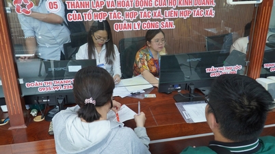 A Da Nang tisztviselői havi 4,75 millió VND fizetésemelést kapnak, ha kivételesen jól látják el feladataikat.