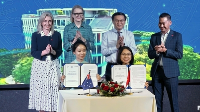 Ciudad Ho Chi Minh colabora con el «unicornio» Canva para brindar capacitación en creatividad digital para estudiantes, empresas y startups.