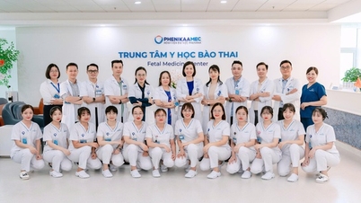 페니카멕 태아 의학 센터 - 국제 표준에 따른 산모 및 태아 관리의 모범 사례.