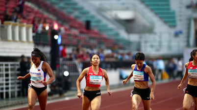 Liputan langsung hari kompetisi delegasi olahraga Vietnam pada 11 Desember di SEA Games ke-33: Perenang 'menutup' hari emas tersebut.