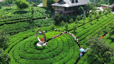 Тай Нгуєн: Кооперативи слугують «мостом» для туристів, щоб вони могли досліджувати місцеву культуру.