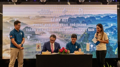 Niepowtarzalne przeżycie w miejscu wpisanym na listę światowego dziedzictwa przyrodniczego Phong Nha-Ke Bang.