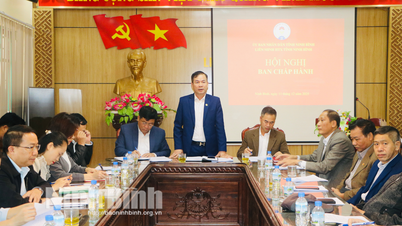 El Comité Ejecutivo Provisional de la Unión Cooperativa Provincial discutió asuntos a discutir en preparación para el Primer Congreso, período 2025-2030.