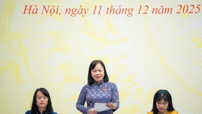 Hanoi ve Ho Chi Minh Şehri, önde gelen bir multimedya basın ajansı modelinin uygulanması için birçok elverişli koşula sahiptir.