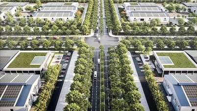 ہو چی منہ سٹی: سبز تبدیلی کو تیز کرنا، 2050 تک خالص صفر کا ہدف