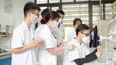 ویتنامی دواسازی کی صنعت کی ترقی پر قومی اسٹیئرنگ کمیٹی کی رکنیت کو مضبوط بنانا۔