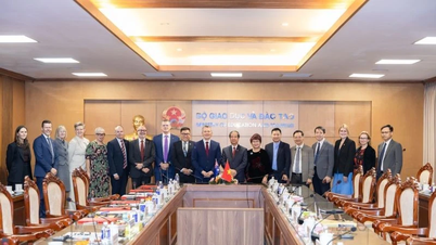 Fortalecimiento de la alianza estratégica entre Australia y Vietnam en materia de educación