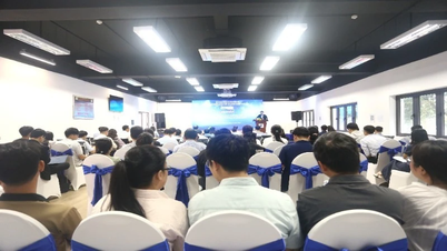 Kobler vietnamesisk kunnskap globalt gjennom portalen for vitenskap og teknologisk innovasjon.