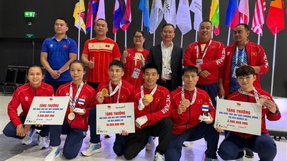 Efter att ha överträffat sina mål vid SEA Games fick det vietnamesiska MMA-laget en "bonus".
