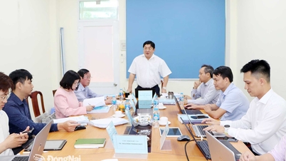 Evaluación de un proyecto de investigación sobre la aplicación de marcadores moleculares para evaluar variedades promisorias de anacardo.