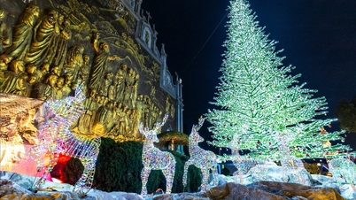 ドンビン教区ではクリスマスが早く到来しました。