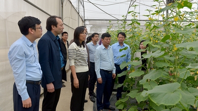 Đẩy mạnh ứng dụng khoa học công nghệ, nâng chất lượng sản phẩm của hợp tác xã