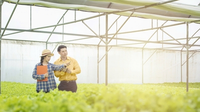 Bac A Bank apoya la agricultura de alta tecnología y las finanzas verdes.