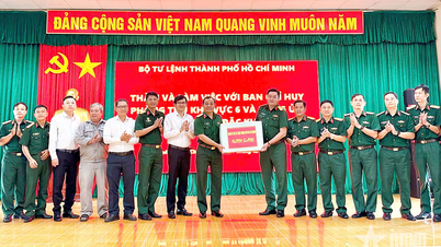 El Comando de Ciudad Ho Chi Minh visita y trabaja en la Zona Económica Especial de Con Dao.