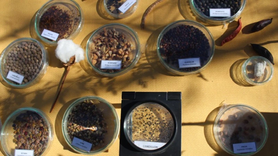 Egy hely, ahol megőrizhetjük a magokat az éghajlatváltozástól és a lehetséges katasztrófáktól.