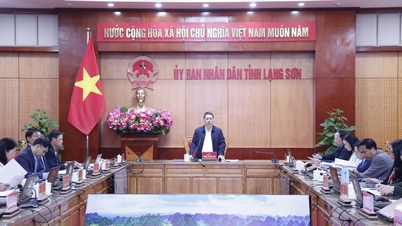 التزموا بالخطة بدقة وتأكدوا من أن مهرجان زهر الخوخ سيحقق نجاحاً باهراً.