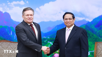 प्रधानमंत्री फाम मिन्ह चिन्ह ने रोसाटॉम कॉर्पोरेशन के सीईओ से फोन पर बातचीत की।