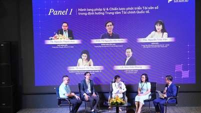 Verbesserung der digitalen Kompetenzen mit dem Ziel, Vietnam zu einem internationalen Finanzzentrum zu machen.