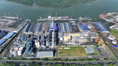 أكبر مجمع لعصر زيت فول الصويا في جنوب شرق آسيا يبدأ عملياته.