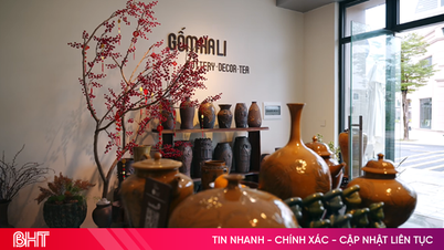 سرمایه‌گذاران می‌توانند با خیال راحت بخوابند و معامله‌گران به لطف استراتژی جریان نقدی وسوسه‌انگیز Asia Vibe، پول زیادی به جیب می‌زنند.