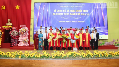 त्रा विन्ह विश्वविद्यालय में 50 प्रोफेसर और एसोसिएट प्रोफेसर हैं।