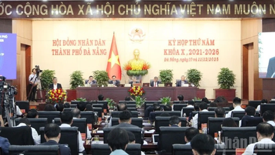 दा नांग ने शहर के विकास के लिए कई महत्वपूर्ण प्रस्ताव पारित किए हैं।