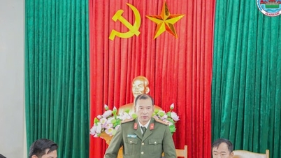 Hung Dao aplicará medidas contra 78 casos de violações de terras.