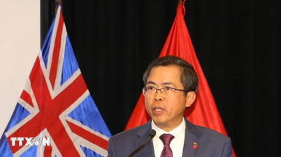 Australijsko-Wietnamski Instytut Polityczny – pomost między stosunkami dwustronnymi.