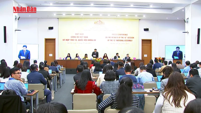 [वीडियो] राष्ट्रीय सभा के महासचिव ने 10वें सत्र के परिणामों की घोषणा करते हुए अंतर्राष्ट्रीय प्रेस कॉन्फ्रेंस की अध्यक्षता की।