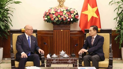 विदेश मंत्री ले होआई ट्रुंग ने जापान-वियतनाम संसदीय मैत्री गठबंधन के विशेष सलाहकार से मुलाकात की।