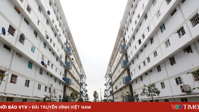 דיגיטציה של תהליך הרישום לרכישת דיור ציבורי.