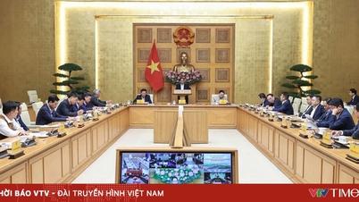 К 19 декабря 2025 года будет завершено строительство и открыто для технического движения 3188 км скоростных автомагистралей и 1700 км прибрежных дорог.