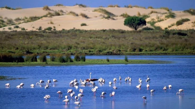 Ανακαλύψτε τους πιο εντυπωσιακούς υγροβιότοπους της Ευρώπης.