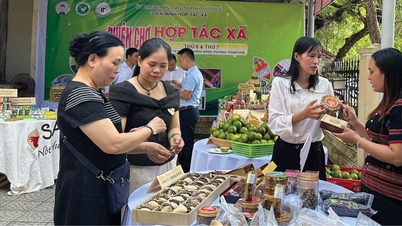 লিভারেজ সমবায়গুলিকে তাদের প্রতিযোগিতামূলক ক্ষমতা বাড়াতে সাহায্য করে।